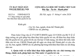 Tăng cường các giải pháp bảo đảm thực hiện quyền trẻ em trên địa bàn phường Hồng Hà