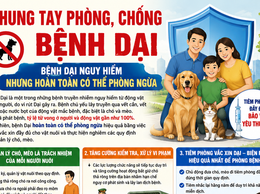 Bệnh Dại nguy hiểm nhưng hoàn toàn có thể phòng ngừa.