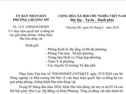 Phường Chương Mỹ tăng cường triển khai các giải pháp phòng, chống bệnh Dại trên động vật