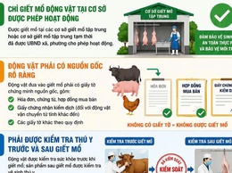 Thông điệp tuyên truyền về chấm dứt hoạt động giết mổ nhỏ lẻ, trái phép trên địa bàn thành phố Hà Nội