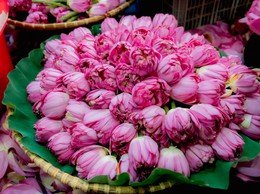 Nghệ thuật chế biến Trà sen Tây Hồ