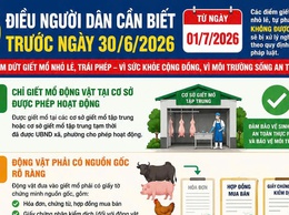Chấm dứt hoạt động giết mổ nhỏ lẻ, trái phép trên địa bàn thành phố Hà Nội