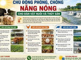 CHỦ ĐỘNG PHÒNG, CHỐNG NẮNG NÓNG CHO ĐÀN VẬT NUÔI