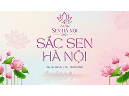 Sen Tây Hồ: Hương sắc đất trời, tinh hoa Người Hà Nội
