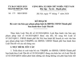 Phường Hồng Hà triển khai rà soát văn bản quy phạm pháp luật theo Luật Thủ đô