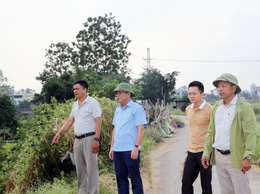 Phó Chủ tịch UBND xã Trần Phú kiểm tra hệ thống đê dọc tuyến Sông Bùi giáp khu đồng Sờ