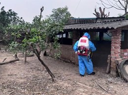Vĩnh Thanh triển khai phun diệt ruồi, vệ sinh, khử trùng tiêu độc phòng chống dịch bệnh động vật năm 2026