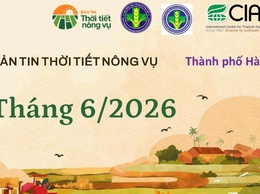 Vĩnh Thanh chủ động sản xuất vụ Mùa 2026 theo khuyến cáo thời tiết nông vụ