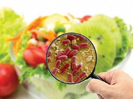 VỀ VIỆC KIỂM TRA, XỬ LÝ VI PHẠM CHÍNH TRONG LĨNH VỰC AN TOÀN THỰC PHẨM TRÊN ĐỊA BÀN PHƯỜNG VĨNH HƯNG