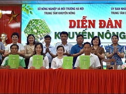 Liên kết sản xuất và tiêu thụ sản phẩm nông nghiệp – Đồng hành cùng nông dân phát triển bền vững