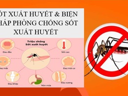 SỐT XUẤT HUYẾT VÀ BIỆN PHÁP PHÒNG CHỐNG SỐT XUẤT HUYẾT