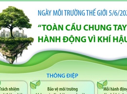 Ngày Môi trường Thế giới: Toàn cầu chung tay hành động vì khí hậu