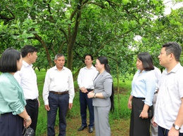 Hội Nông dân xã Phú Nghĩa phát động thi đua chào mừng Đại hội đại biểu toàn quốc Hội Nông dân Việt Nam lần thứ IX