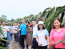 HỘI NÔNG DÂN THÀNH PHỐ HÀ NỘI TỔ CHỨC THĂM QUAN, HỌC TẬP MÔ HÌNH KINH TẾ TIÊU BIỂU TẠI XÃ THƯ LÂM