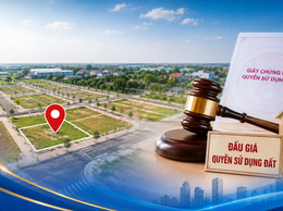 Xã Phượng Dực công khai lựa chọn tổ chức đấu giá quyền sử dụng đất đối với 15 thửa đất khu Cánh Chăn nuôi