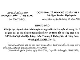 Về việc lựa chọn tổ chức hành nghề đấu giá tài sản là quyền sử dụng đất ở để giao đất có thu tiền sử dụng đất đối với 30 thửa đất 
