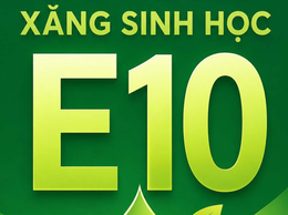 Cẩm nang sử dụng Xăng E10