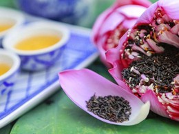 Trăm cánh sen hồng