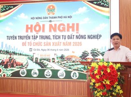 HỘI NÔNG DÂN XÃ CỔ ĐÔ TỔ CHỨC TUYÊN TRUYỀN VỀ TẬP TRUNG, TÍCH TỤ ĐẤT NÔNG NGHIỆP NĂM 2026