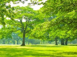 Tuyên truyền, giải tỏa cây cối, hoa màu phục vụ thực hiện Dự án nạo vét tuyến kênh T1-2, T1-3 trên địa bàn xã