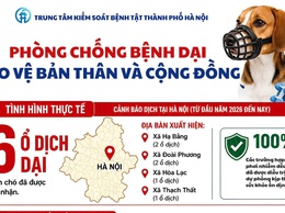 Phòng, chống bệnh dại - Bảo vệ bản thân và cộng đồng