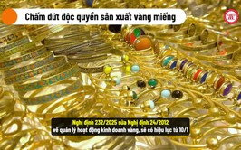 Chính sách mới nổi bật tháng 10/2025: Bỏ đình chỉ học; Chấm dứt độc quyền sản xuất vàng miếng