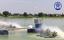 Hà Nội: Hỗ trợ 100% giá trị vật nuôi thủy sản không di chuyển được khi thu hồi đất