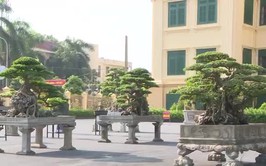 Bản tin Phúc Thọ ngày 19/9/2025