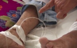 Hà Nội chung tay phòng chống và đẩy lùi bệnh dại