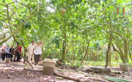 Nữ cán bộ tận tâm vì sự phát triển của cộng đồng