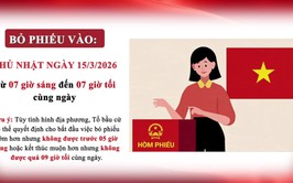 (clip) tuyên truyền một số quy định nguyên tắc, trình tự bỏ phiếu bầu cử trong ngày bầu cử 15/3/2026.