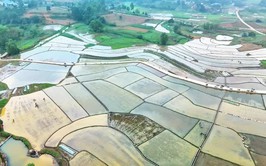 VỤ XUÂN TRÊN QUÊ HƯƠNG BA VÌ