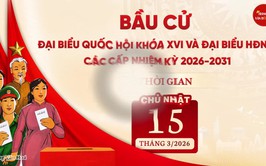 Hướng dẫn quy trình bỏ phiếu bầu cử đại biểu Quốc hội khóa XVI và đại biểu HĐND các cấp nhiệm kỳ 2026 - 2031