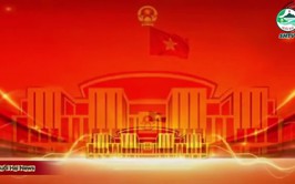 Hướng dẫn quy trình bỏ phiếu bầu cử Đại biểu Quốc hội và HĐND các cấp đúng quy định