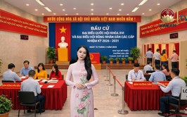 BẢN TIN PHƯỜNG KIM LIÊN - BẢN TIN SỐ 10