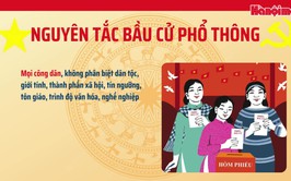 Bốn nguyên tắc bầu cử đại biểu Quốc hội và đại biểu HĐND