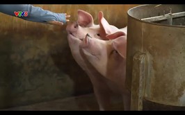 Đổi thay ở xã đảo Minh Châu