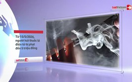 Chính Sách Mới Có Hiệu Lực Tháng 5/2026