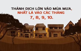 PHƯỜNG DƯƠNG NỘI KÍCH HOẠT SỚM CÁC BIỆN PHÁP PHÒNG CHỐNG SỐT XUẤT HUYẾT