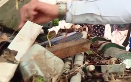 Hà Nội chủ động triển khai các biện pháp phòng, chống dịch bệnh truyền nhiễm