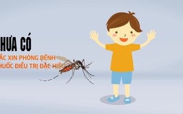 Video Tuyên truyền phòng chống bệnh Sốt Xuất huyết