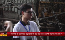 PHƯỜNG DƯƠNG NỘI DI DỜI CƠ SỞ SẢN XUẤT CÔNG NGHIỆP RA KHỎI ĐỊA BÀN