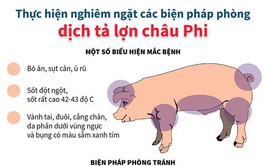 BÀI TUYÊN TRUYỀN VỀ DỊCH TẢ LỢN CHÂU PHI