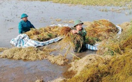 Lực lượng vũ trang kề vai, sát cánh cùng nhân dân vượt khó