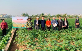 Hội nghị thăm quan, tổng kết đánh giá mô hình sản xuất khoai tây giống mới Julinka.