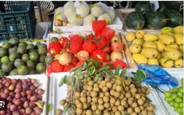 Triển khai các biện pháp điều hành, bình ổn giá trên địa bàn xã Phúc Sơn những tháng cuối năm 2025