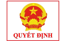 Quyết định về việc phê duyệt Danh mục thủ tục hành chính thực hiện không phụ thuộc vào địa giới hành chính thuộc phạm vi quản lý của UBND Thành phố (Đợt 1)