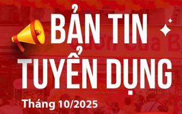 Tổng hợp thông tin và nhu cầu tuyển dụng tháng 10/2025