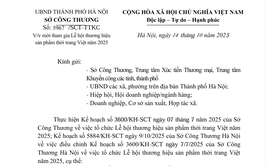 Mời tham gia Lễ hội thương hiệu sản phẩm thời trang Việt năm 2025
