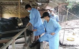 Hà Nội ủy quyền cho Giám đốc Sở Nông nghiệp và Môi trường giải quyết 28 thủ tục hành chính lĩnh vực Chăn nuôi, Thủy sản và Thú y